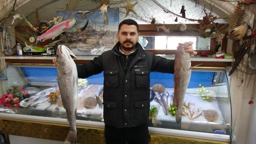 Gaziantep'te kebabın yerini aldı! Akın ettiler, satışlar patladı: Kilosu 250 lira