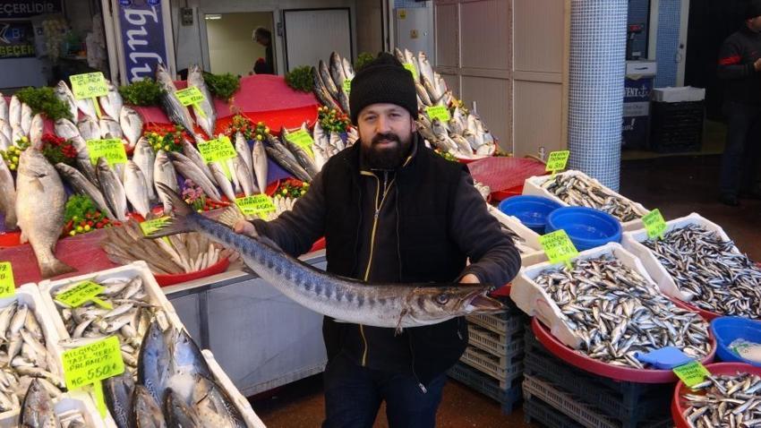 Gaziantep'te kebabın yerini aldı! Akın ettiler, satışlar patladı: Kilosu 250 lira