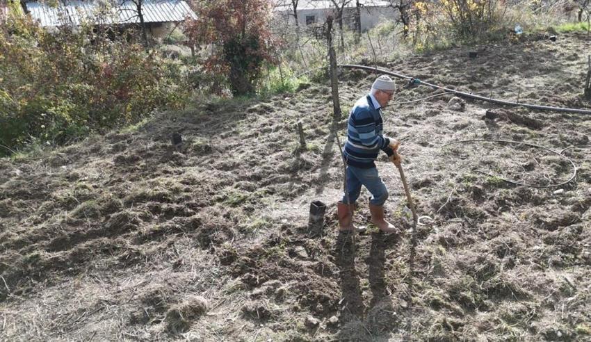Yeminli mali müşavir Antalya'da toprağa ekti, 53 dönüme ulaştı! Verimi gördü, 2 yılda mesleği bıraktı