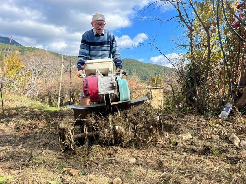 Yeminli mali müşavir Antalya'da toprağa ekti, 53 dönüme ulaştı! Verimi gördü, 2 yılda mesleği bıraktı