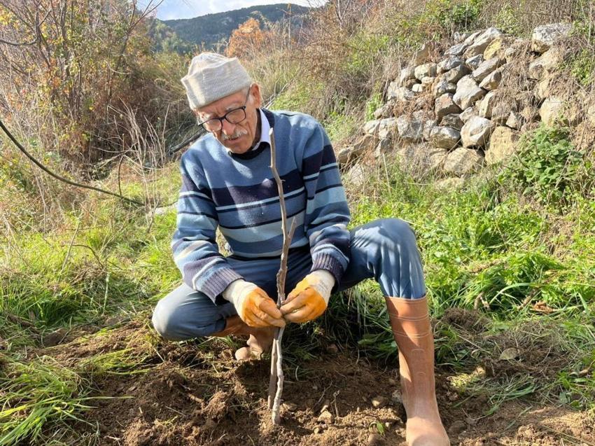 Yeminli mali müşavir Antalya'da toprağa ekti, 53 dönüme ulaştı! Verimi gördü, 2 yılda mesleği bıraktı