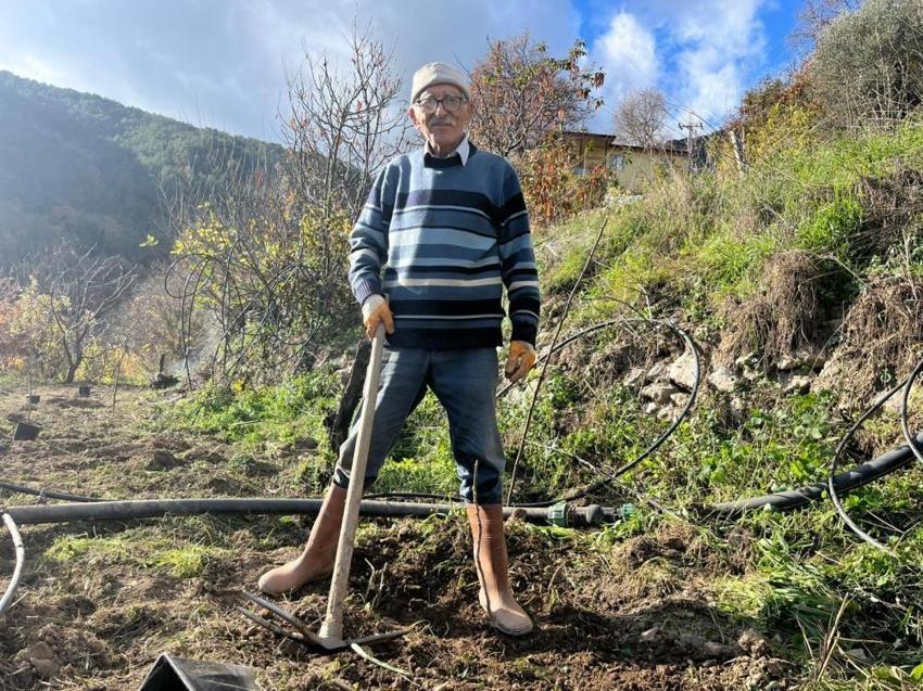 Yeminli mali müşavir Antalya'da toprağa ekti, 53 dönüme ulaştı! Verimi gördü, 2 yılda mesleği bıraktı