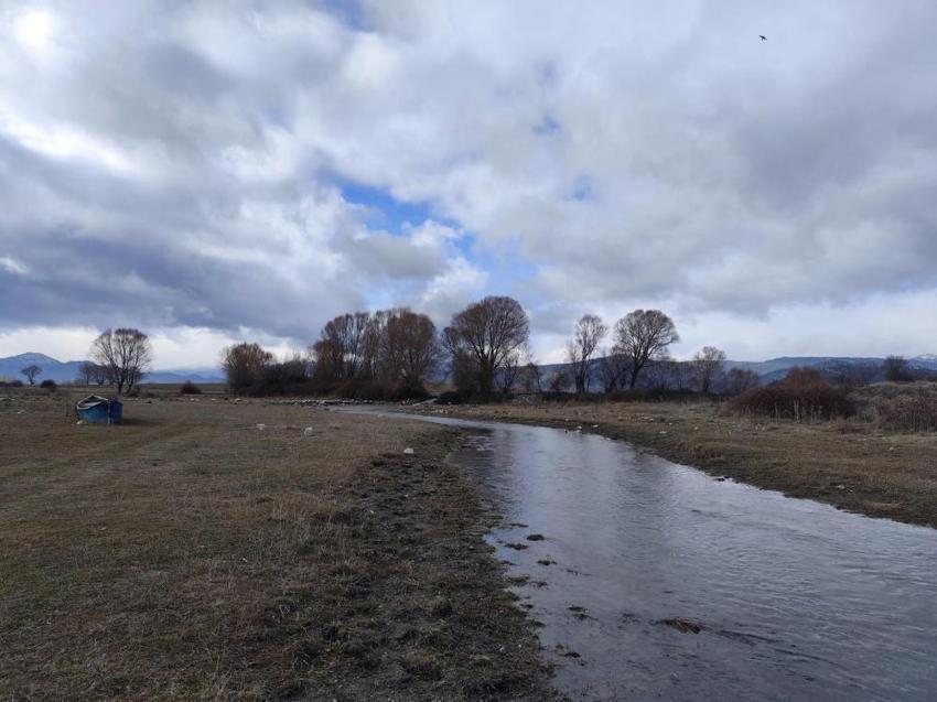 Konya'da tekrar hayat buldu: 2026 Ocak ayında görüldü