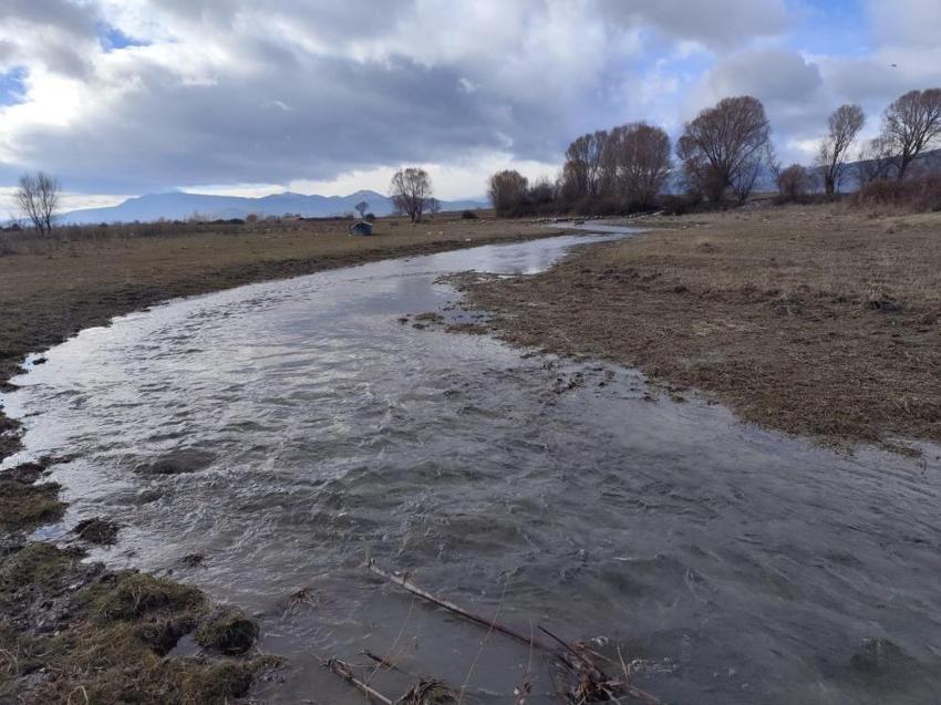 Konya'da tekrar hayat buldu: 2026 Ocak ayında görüldü