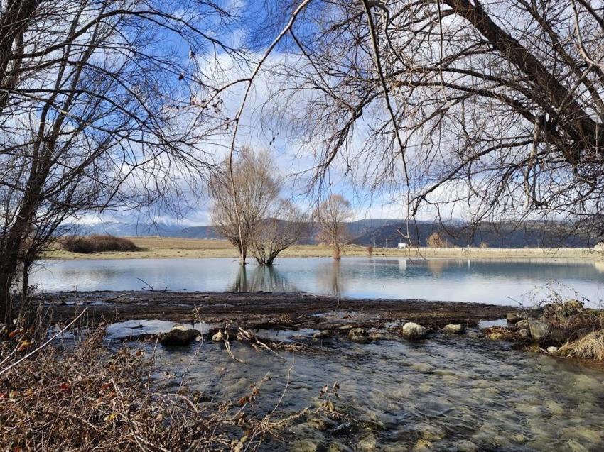 Konya'da tekrar hayat buldu: 2026 Ocak ayında görüldü