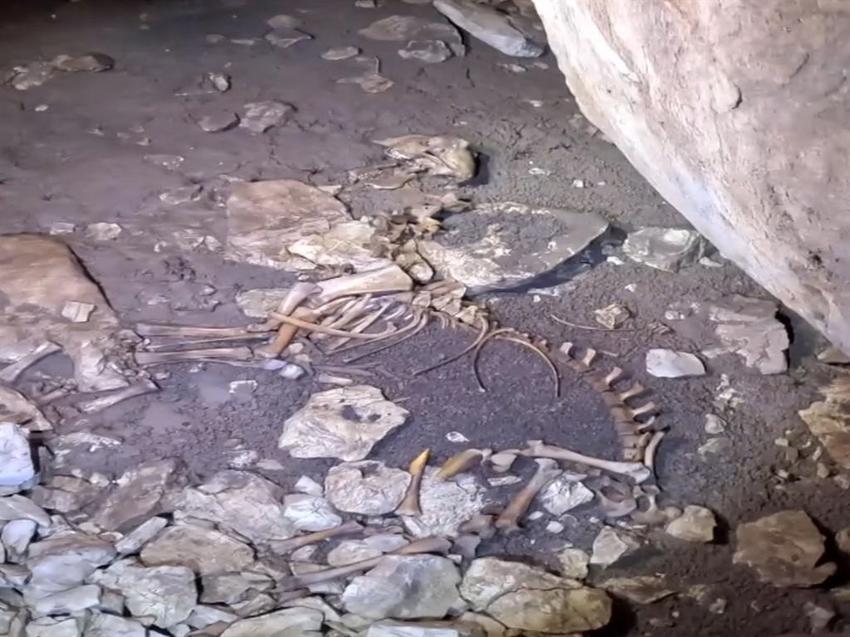 Ünlü fenomen Antalya'da mağarada buldu: Görünce tüyleri ürperdi! Kadın cüzdanı ele verdi