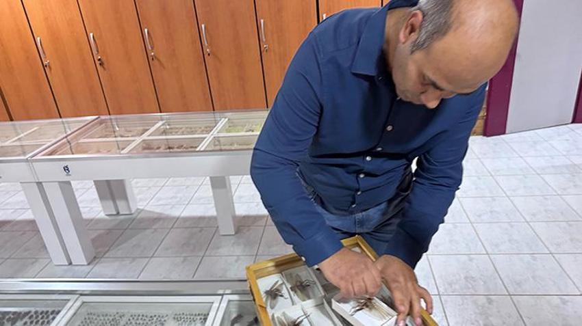 Dünyada sadece iki yerde var, birisi Isparta'da! Binlerce tür bir arada: Çocuklar bu müzeden onlarla dost olarak ayrılıyor