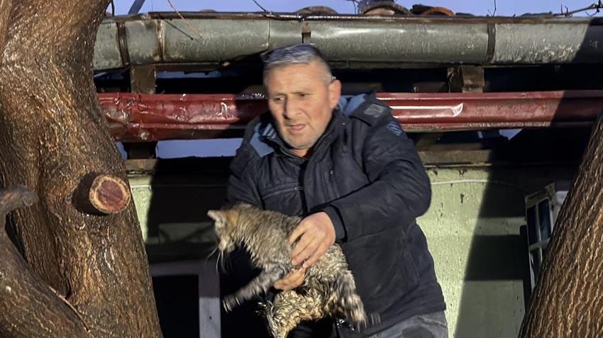 Erbaa'da kediler üşümesin diye yakılan soba faciaya dönüştü: İki ev küle döndü