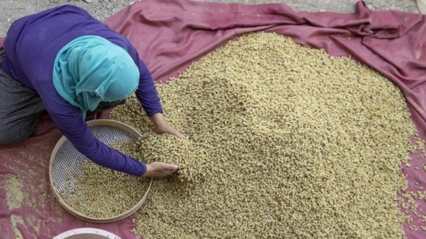 Erzincan'da üreticiye yeni gelir kapısı! Yüzde 50 hibe desteğiyle kurulacak: Başvurular başladı