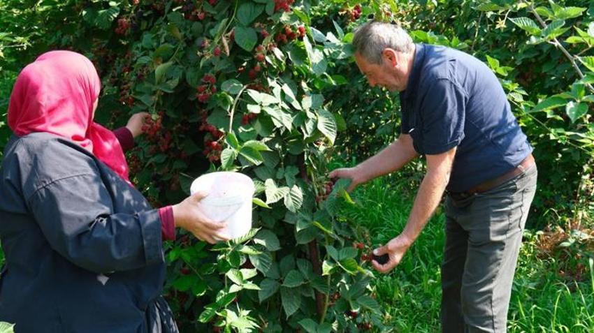 Bursa'da yeni kazanç modeli olacak! Bu ürünü eken köşeyi dönecek