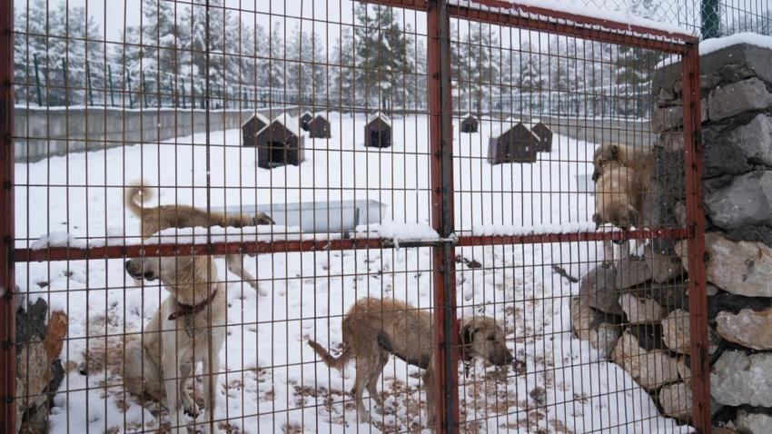 Malatya'nın bir ilçesi daha kavuştu: İkinci tesis de hizmete başladı