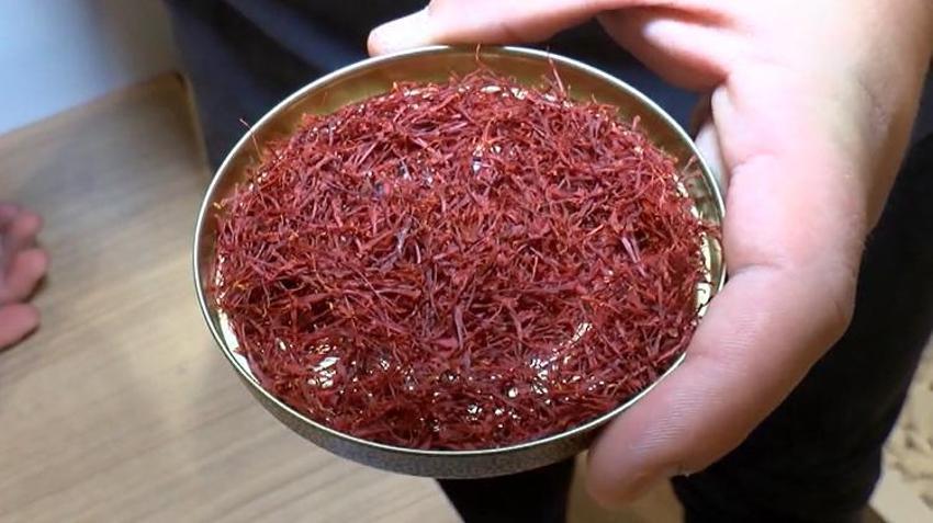 Kırmızı altının fiyatı üreticiyi zengin etti! Yılda bir defa hasat ediliyor ama bereketi 12 ay sürüyor