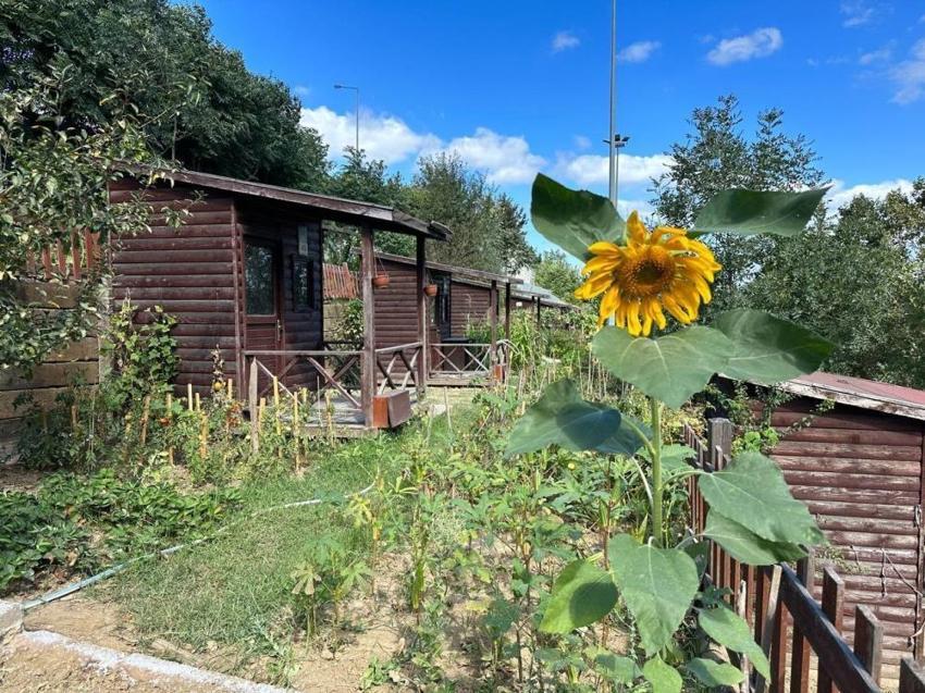 İstanbul'da yaşayanlar dikkat! Avrupa yakasında başvurular başlıyor: 2026'da geçerli olacak