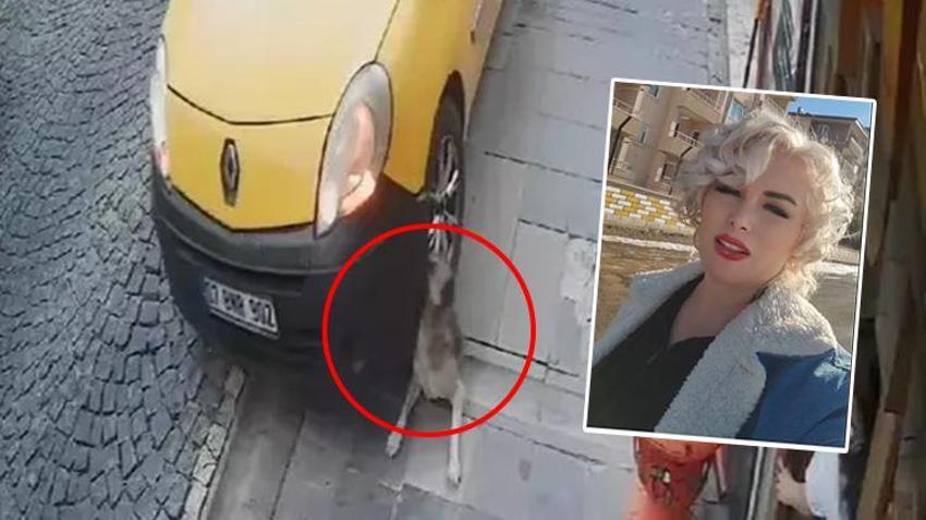 'Mardinli Marilyn Monroe' Elazığ'a gidip teslim oldu! Suçu, köpeği ezen taksicinin videosunu paylaşmak