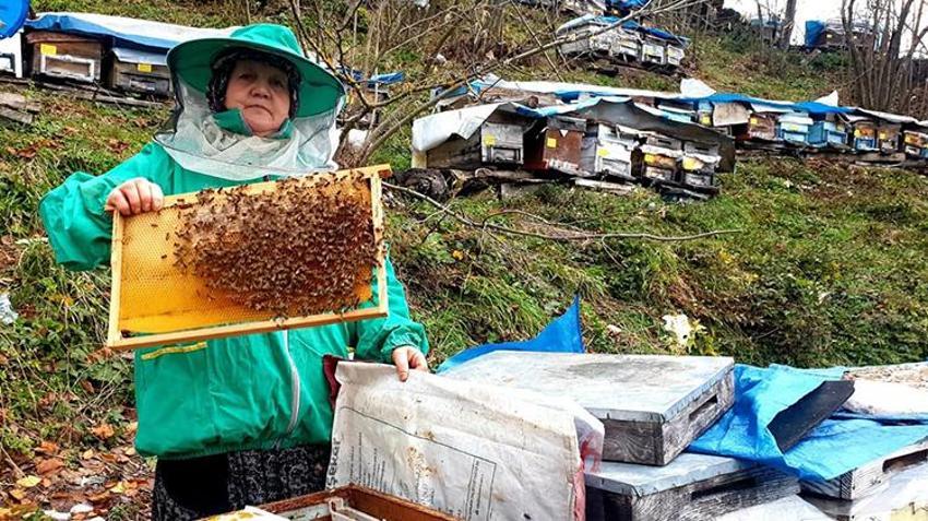Düzceli kadın ömrünü ailesine adadı! Hiç evlenmedi baba mesleğiyle 8 kardeşini okuttu
