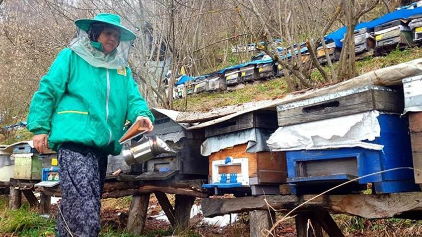 Düzceli kadın ömrünü ailesine adadı! Hiç evlenmedi baba mesleğiyle 8 kardeşini okuttu