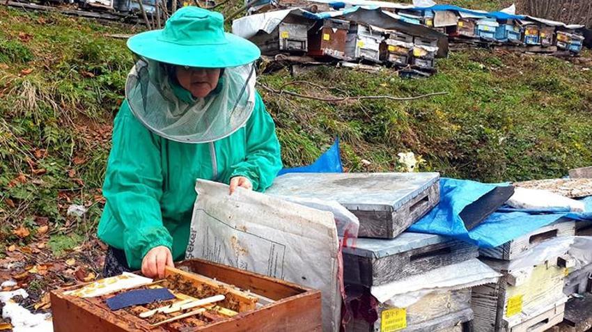 Düzceli kadın ömrünü ailesine adadı! Hiç evlenmedi baba mesleğiyle 8 kardeşini okuttu