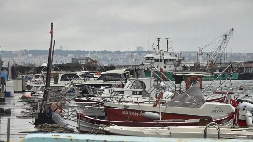 Hamsi, istavrit, palamut değil lüfer balıkçılara ters köşe yaptı, bilerek ağa gelmiyor