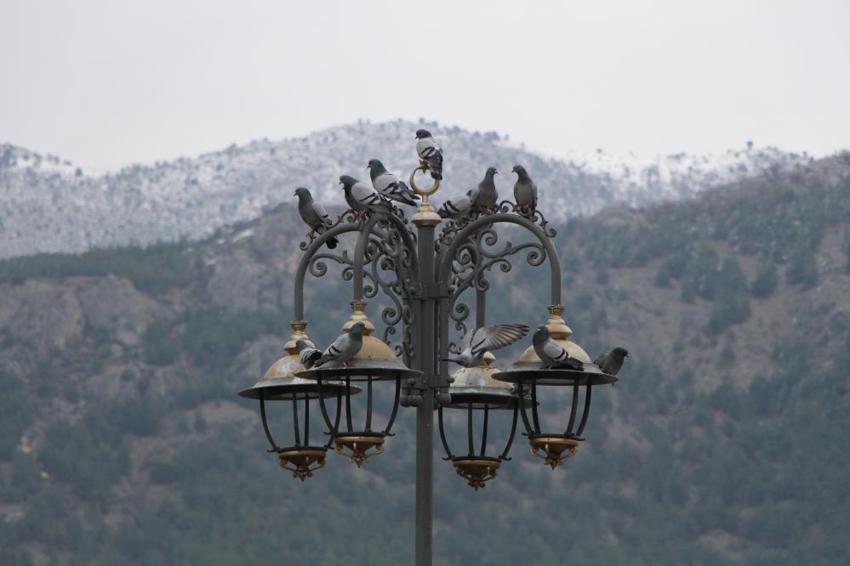 20 yıl boyunca emekli maaşından ayırdı: Amasya Valisinin sürprizini duyunca yerinde duramadı