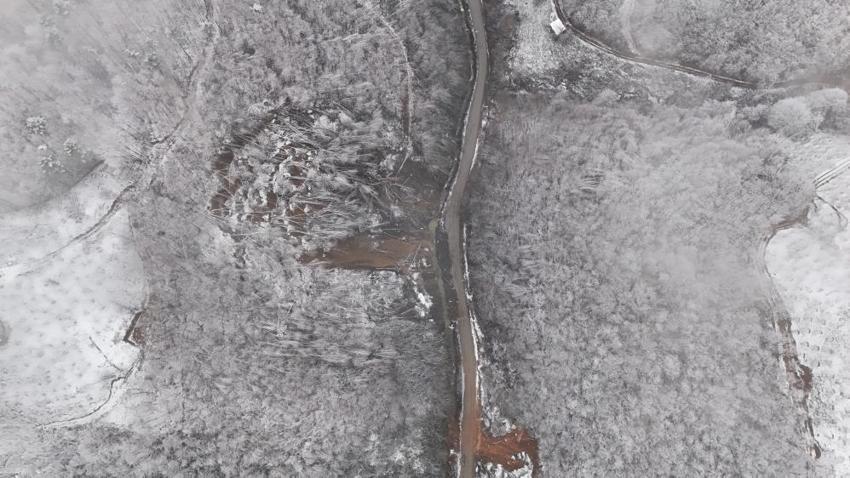 Düzce'de her sokakta yer alıyor! Muhtardan terk edin çağrısı geldi