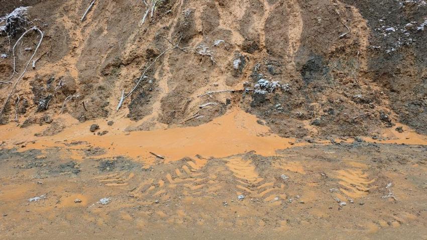 Düzce'de her sokakta yer alıyor! Muhtardan terk edin çağrısı geldi