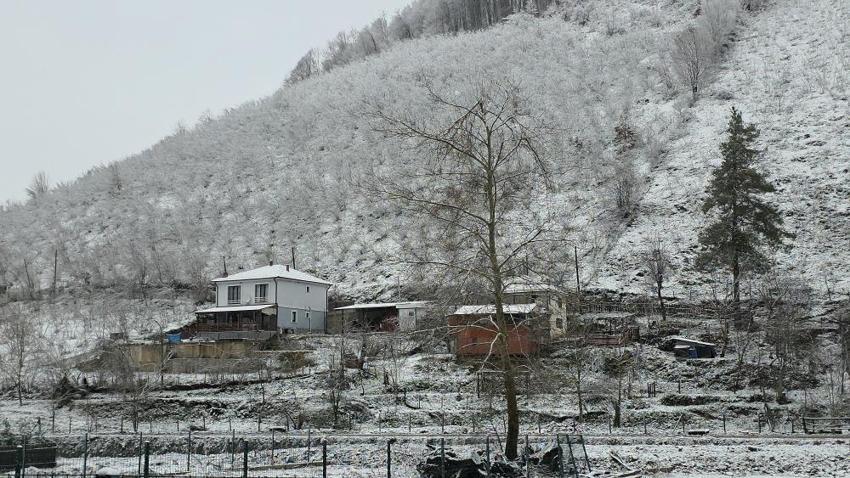 Düzce'de her sokakta yer alıyor! Muhtardan terk edin çağrısı geldi