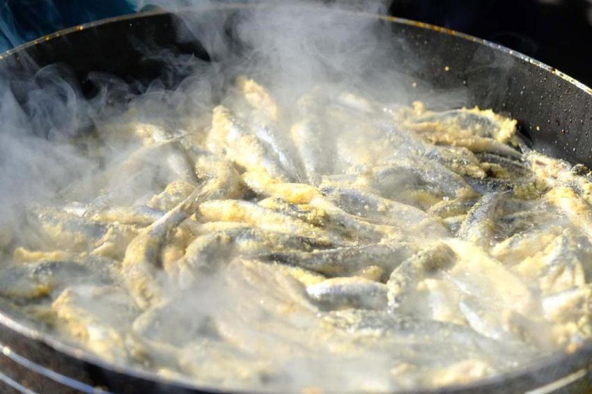 Hamsi Festivali’nde 3 ton hamsi dağıtıldı: 100 metrelik kuyruk oluşturan Bodrumlular ziyafet çekti