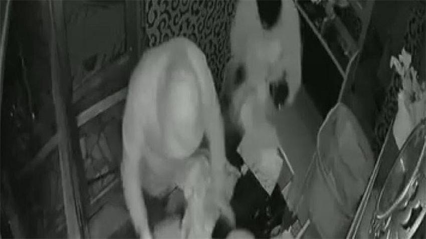 40 saniyede 1.5 milyon liralık altın buhar oldu! Kameralara anbean yansıdı