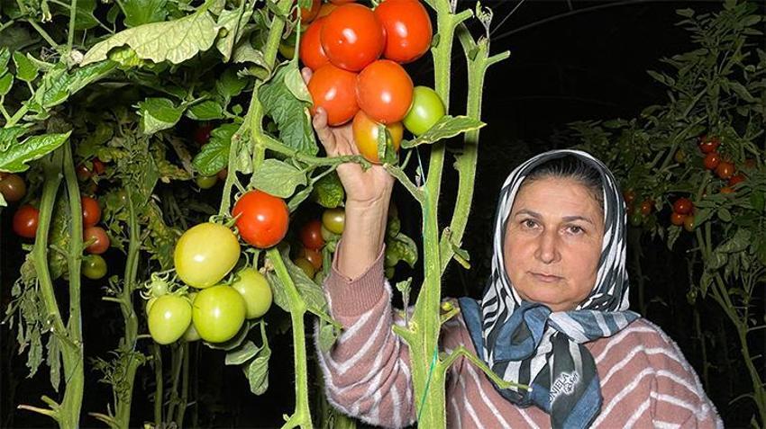 Termometreler eksiyi gördü, Mersin'de üreticinin zirai don nöbeti başladı