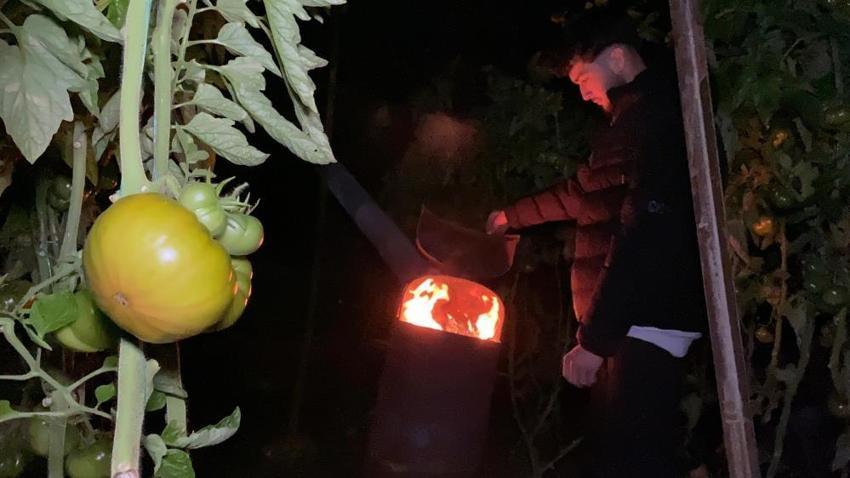 Mersin'de hayat durdu: Üretici seralara akın etti