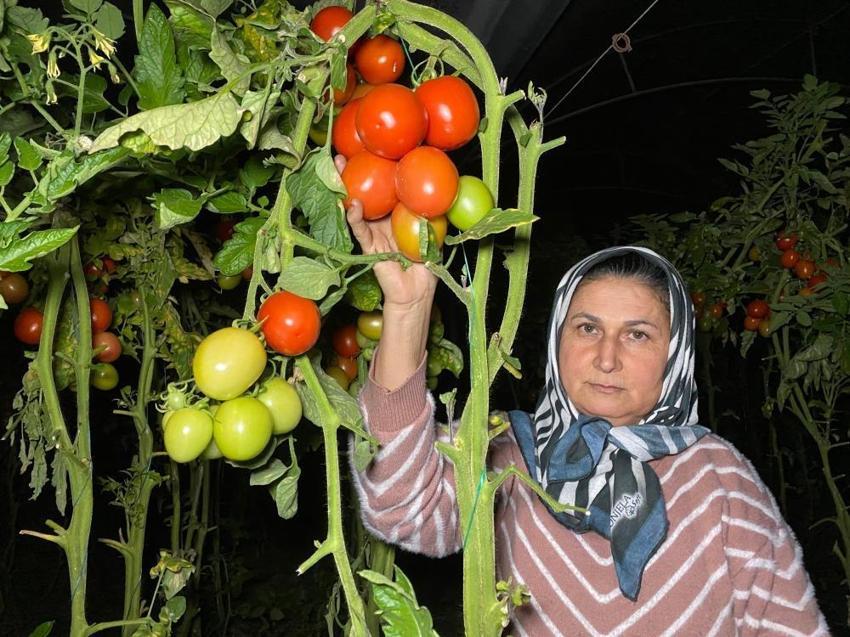 Mersin'de hayat durdu: Üretici seralara akın etti