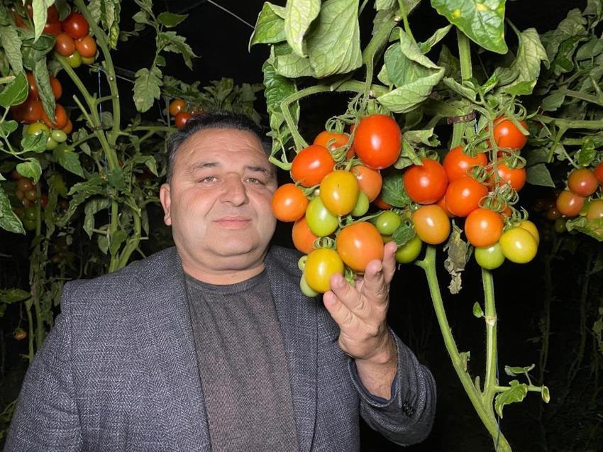 Mersin'de hayat durdu: Üretici seralara akın etti