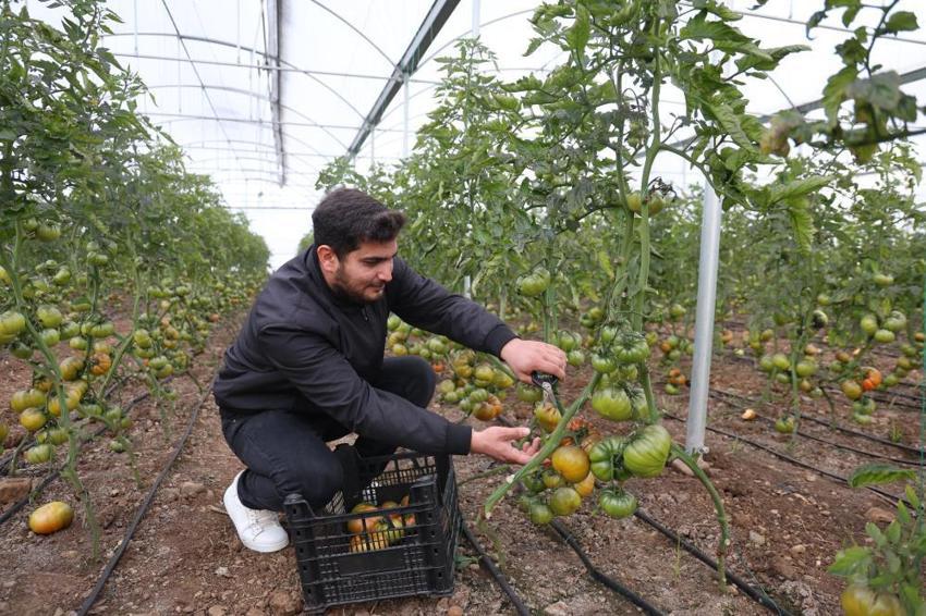 Şehri terk etti, köyünde patron oldu! Topraktan servet kazanıyor