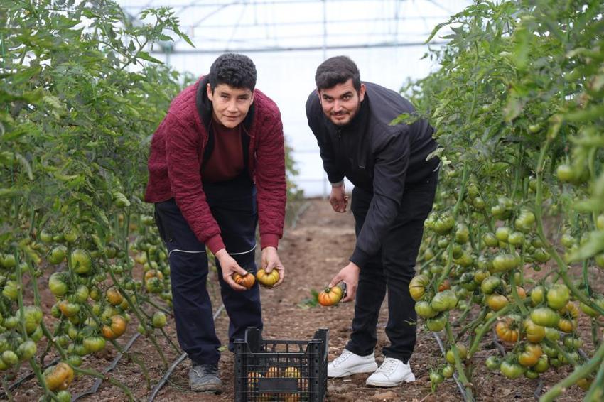 Şehri terk etti, köyünde patron oldu! Topraktan servet kazanıyor