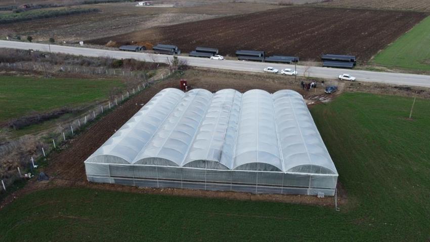 Şehri terk etti, köyünde patron oldu! Topraktan servet kazanıyor