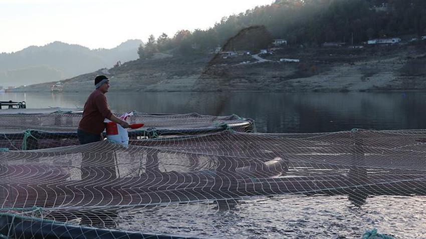 Torosların arasında üretiliyor, dünyaya gönderiliyor! Rusya'dan Japonya'ya 9 ülkeye dev ihracat