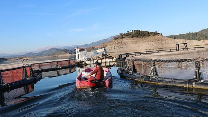 Torosların arasında üretiliyor, dünyaya gönderiliyor! Rusya'dan Japonya'ya 9 ülkeye dev ihracat