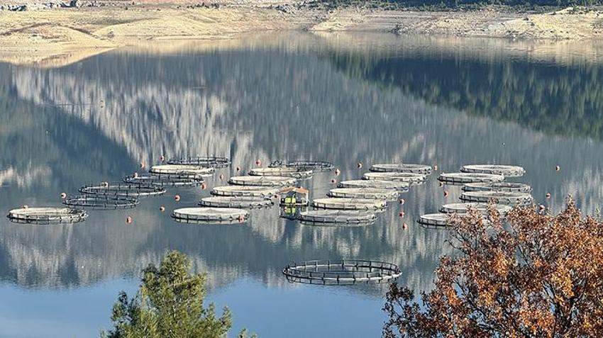 Torosların arasında üretiliyor, dünyaya gönderiliyor! Rusya'dan Japonya'ya 9 ülkeye dev ihracat