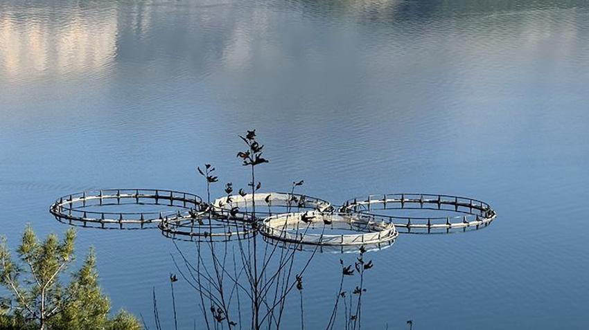 Torosların arasında üretiliyor, dünyaya gönderiliyor! Rusya'dan Japonya'ya 9 ülkeye dev ihracat