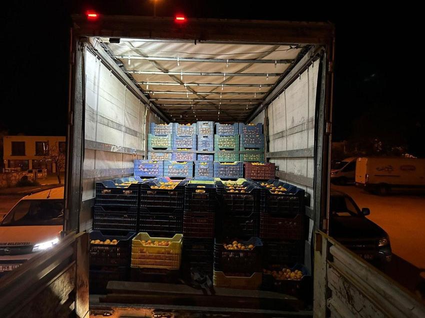 Coğrafi işaretli Bodrum Mandalini Türkiye'nin dört bir yanına ulaşıyor