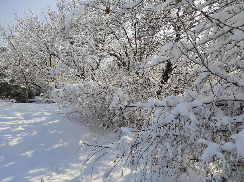 Batman'ın güzelliğine güzellik kattı, seyrine doyumsuz manzaralar oluştu