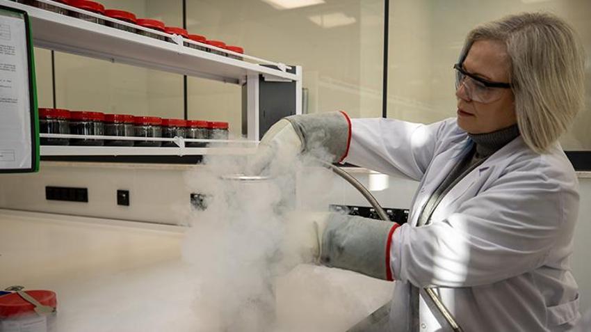 Sakarya'daki dev tesis resmen dolar üretiyor! 4 lira maliyetli ürün işlenerek 10 dolara satılıyor