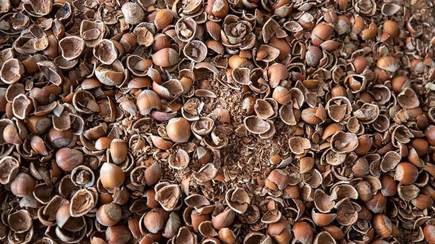 Sakarya'daki dev tesis resmen dolar üretiyor! 4 lira maliyetli ürün işlenerek 10 dolara satılıyor