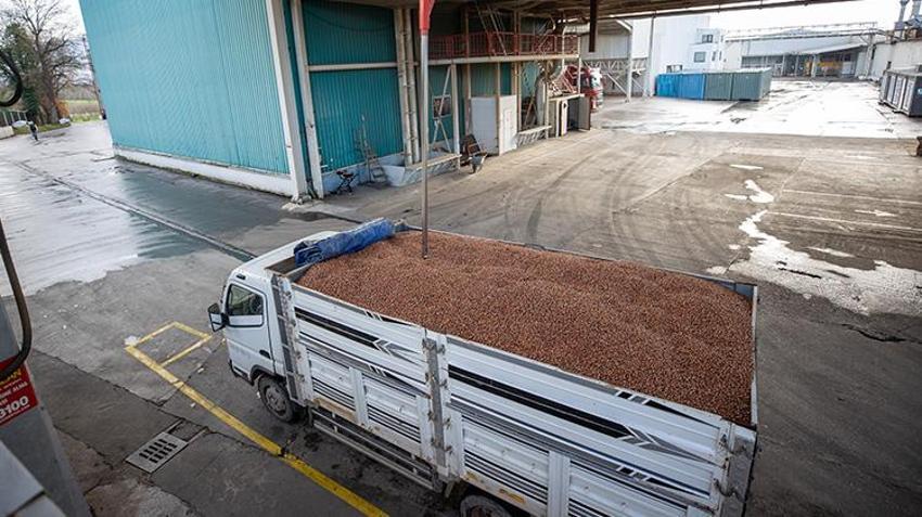 Sakarya'daki dev tesis resmen dolar üretiyor! 4 lira maliyetli ürün işlenerek 10 dolara satılıyor