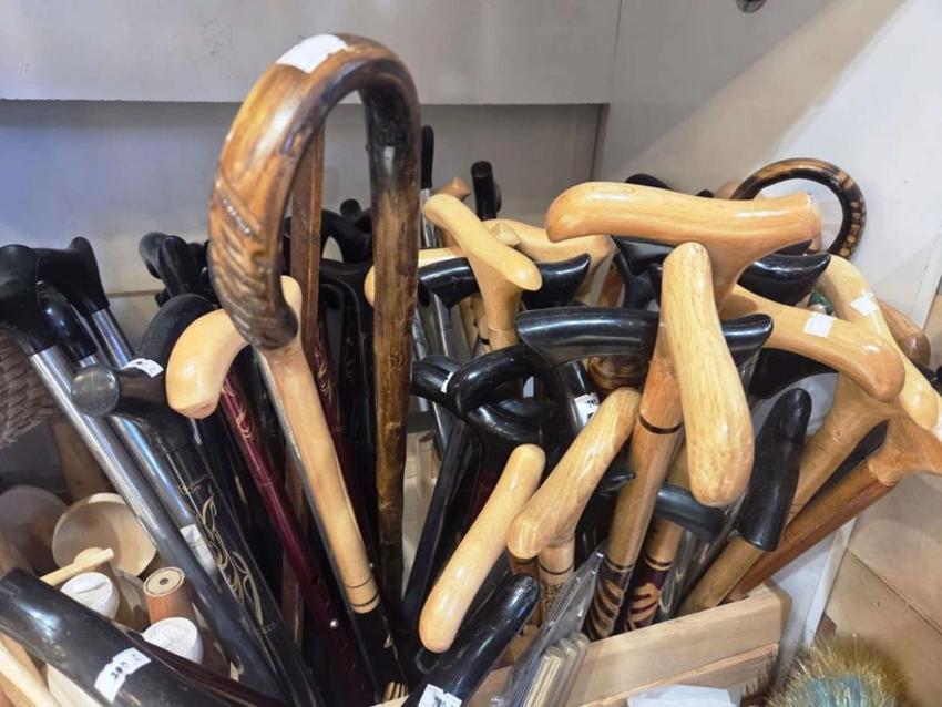 Samsun'da meşhur oldu: Herkesin ilgisi oraya yöneldi