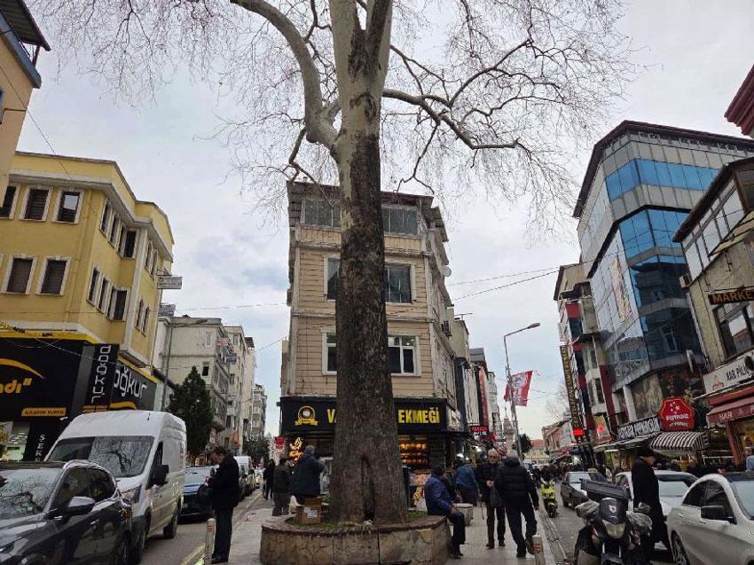 Samsun'da 160 yıldır tüm ihtişamıyla dimdik ayakta