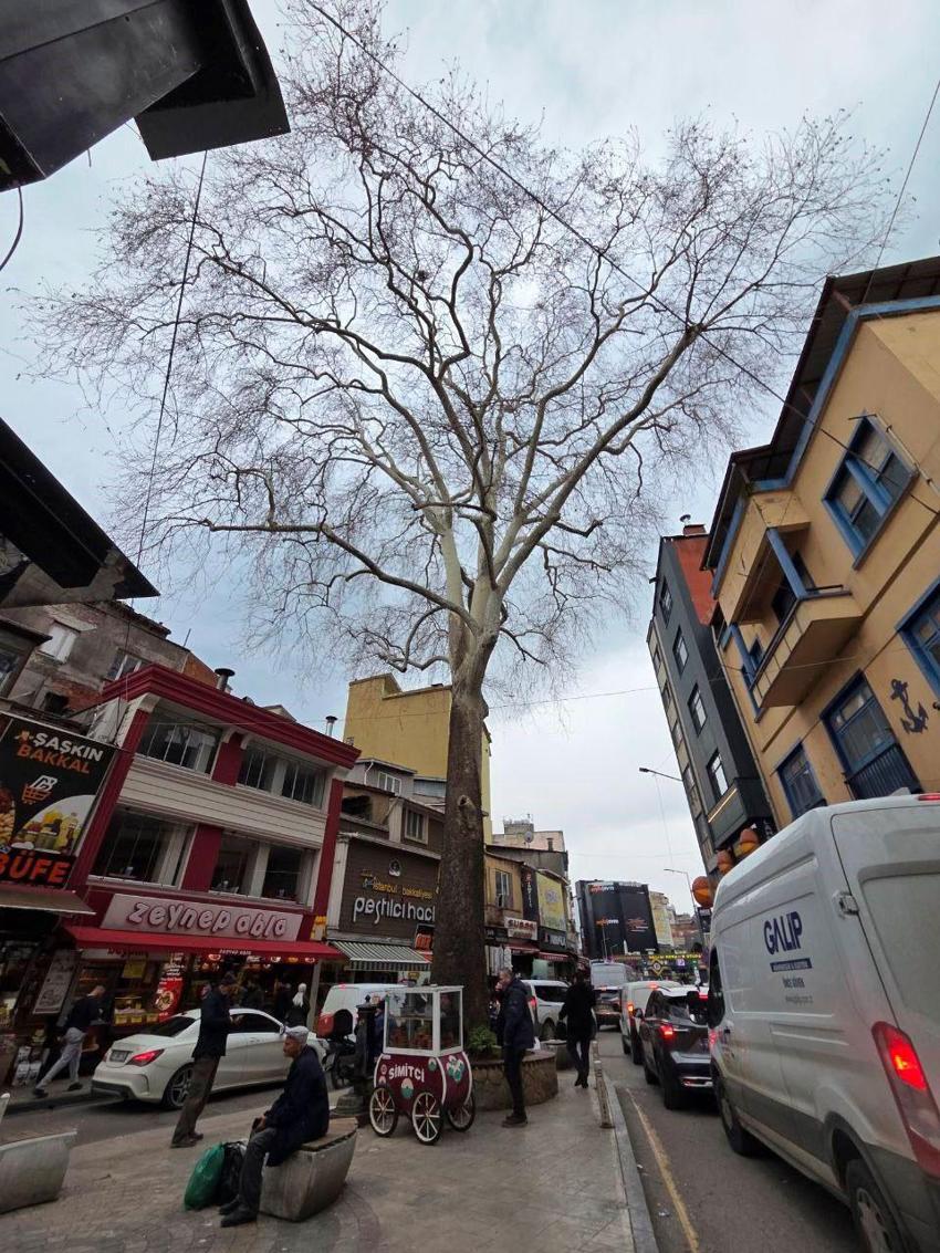 Samsun'da 160 yıldır tüm ihtişamıyla dimdik ayakta