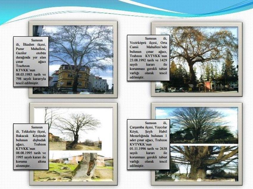 Samsun'da 160 yıldır tüm ihtişamıyla dimdik ayakta