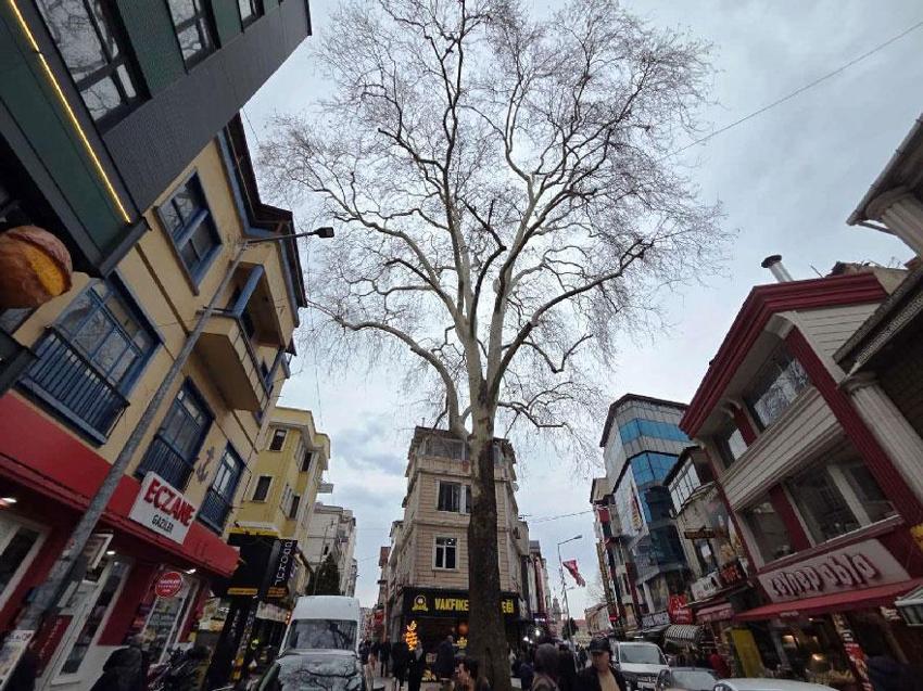 Samsun'da 160 yıldır tüm ihtişamıyla dimdik ayakta