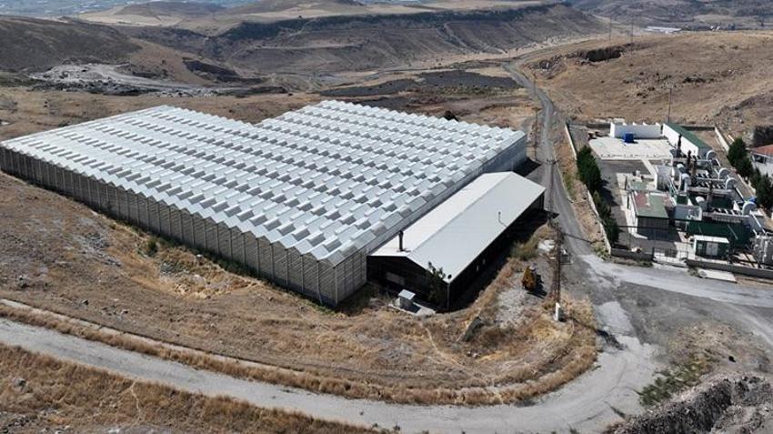 Kayseri'de atıktan dev kazanç! Hem elektrik hem de 450 ton domates üretiliyor
